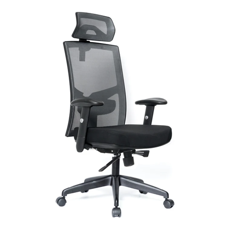 Mesh Chair with Headrest – Mesh back, headrest and adjustable arms.